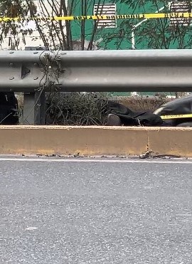 imagen-cuerpo imagen-cuerpo