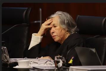 Ministra omite declarar por error terreno y concesi&oacute;n de agua