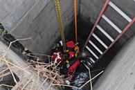 Rescatan a perro que cae a noria