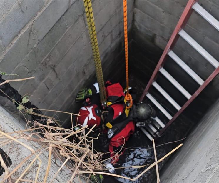 Rescatan a perro que cae a noria