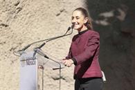 Estiman presentar reforma electoral en la segunda semana de febrero