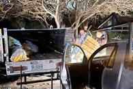 Arrollan a elotero y muere