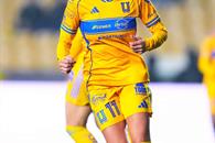 Van felinas por golpe de autoridad