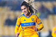 Van felinas por golpe de autoridad Van felinas por golpe de autoridad