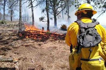 Implementan veda de fuego en ecosistemas forestales