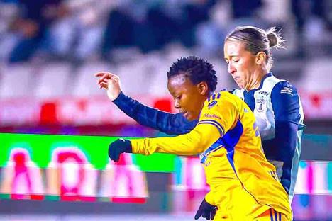 Empatan felinas y mantienen invicto