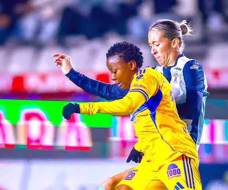 Empatan felinas y mantienen invicto