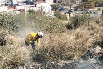 Combaten incendio en Cerro de la Campana