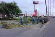 Aprovecha Apodaca el asueto para hacer mantenimiento urbano