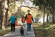 Pasean voluntarios de ´Leones en Acción´ a perritos Pasean voluntarios de ´Leones en Acción´ a perritos