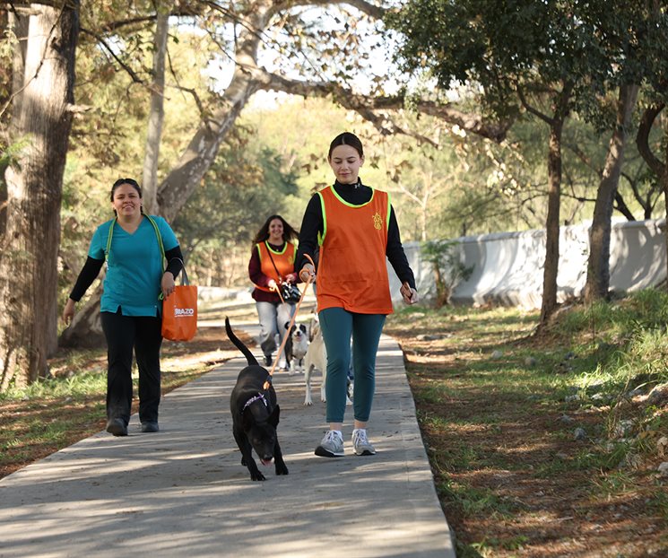 Pasean voluntarios de &acute;Leones en Acci&oacute;n&acute; a perritos
