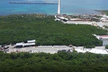 Frena jueza proyecto de Royal Caribbean en Quintana Roo