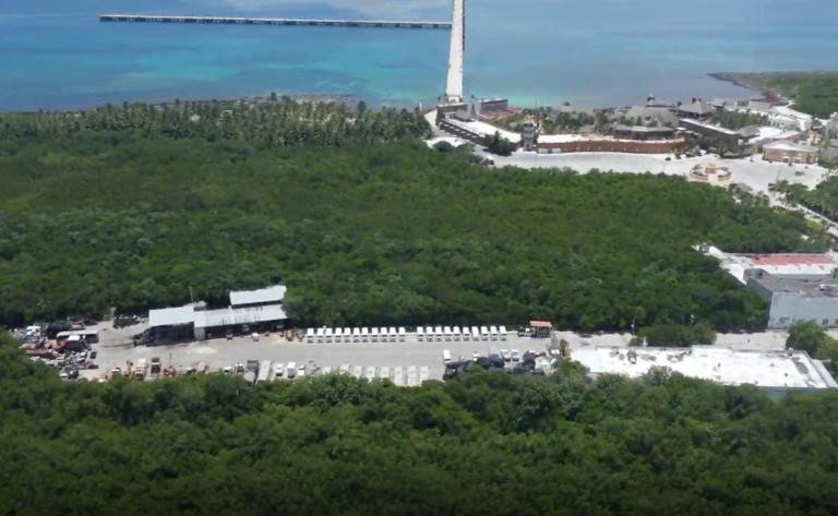 Frena jueza proyecto de Royal Caribbean en Quintana Roo