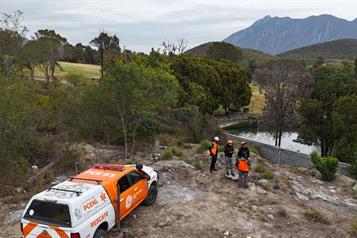 Reportan puma atropellado