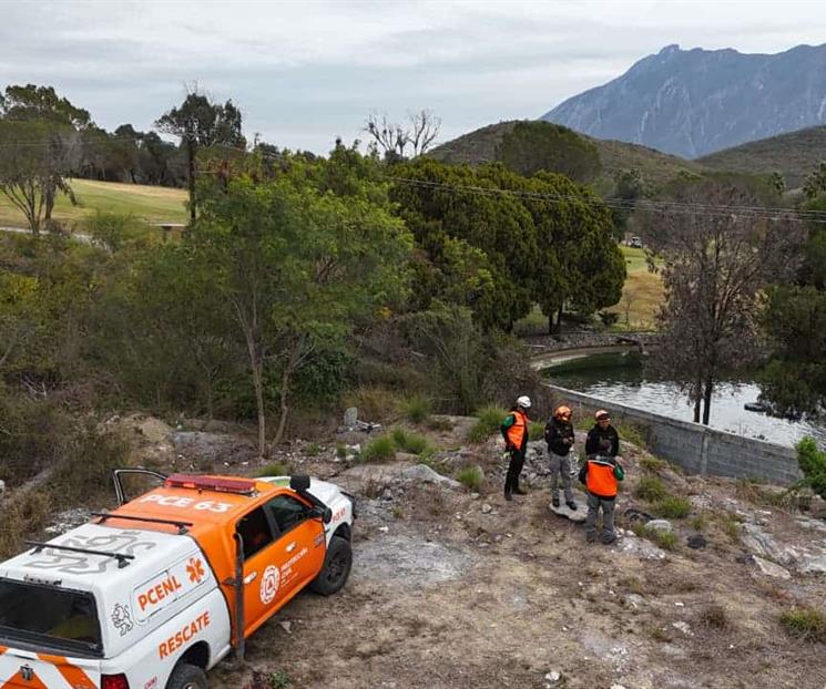 Reportan puma atropellado