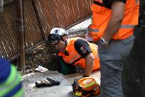 Rescatan a dos gatos