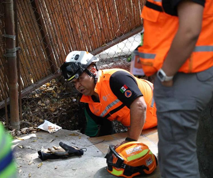 Rescatan a dos gatos