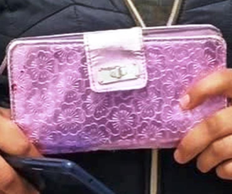 Roba cartera y la detienen