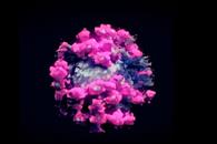 Desarrollan prueba r&aacute;pida contra Covid