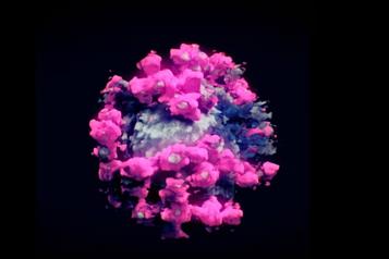 Desarrollan prueba r&aacute;pida contra Covid