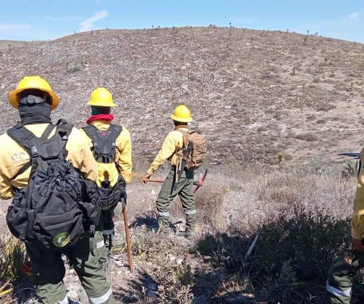 Combaten incendio en NL y SLP