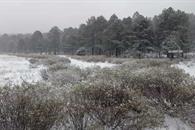 SMN pronostica bajas temperaturas para este lunes