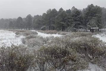 SMN pronostica bajas temperaturas para este lunes