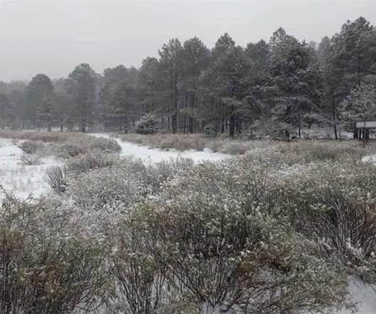 SMN pronostica bajas temperaturas para este lunes