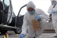 Sheinbaum reporta disminución de 42% en homicidios dolosos