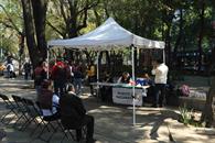 Vacuna contra el sarampi&oacute;n; &iquest;cu&aacute;les son los efectos secundarios?