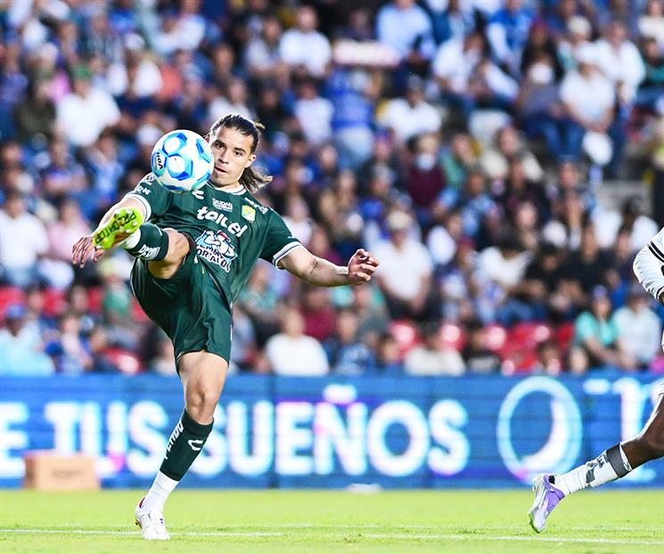 Este León no asusta Este León no asusta