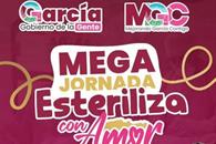 Celebrar&aacute; Garc&iacute;a el 14 de febrero con &acute;Esteriliza con Amor&acute;