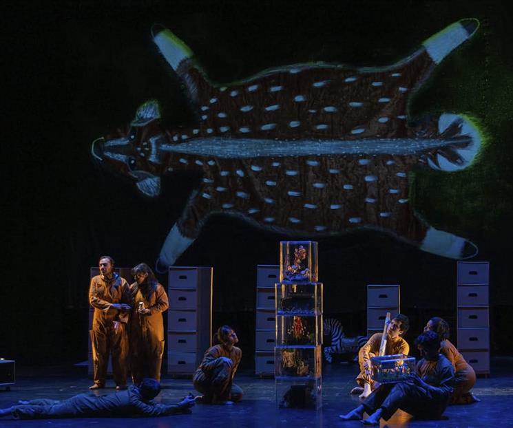 Llega Autobiografía del algodón" a la Ciudad de México Llega Autobiografía del algodón" a la Ciudad de México