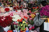Cultivan más de 15 millones de flores para el 14 de febrero Cultivan más de 15 millones de flores para el 14 de febrero