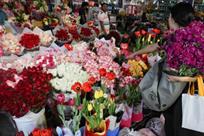 Cultivan m&aacute;s de 15 millones de flores para el 14 de febrero