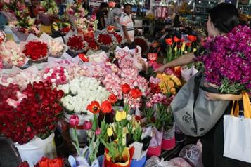 Cultivan m&aacute;s de 15 millones de flores para el 14 de febrero
