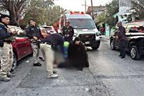 Acuchillan a su amigo en borrachera