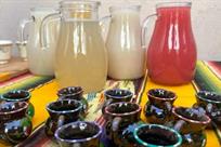 Museo del Pulque celebra 7 a&ntilde;os con agenda cultural gratuita