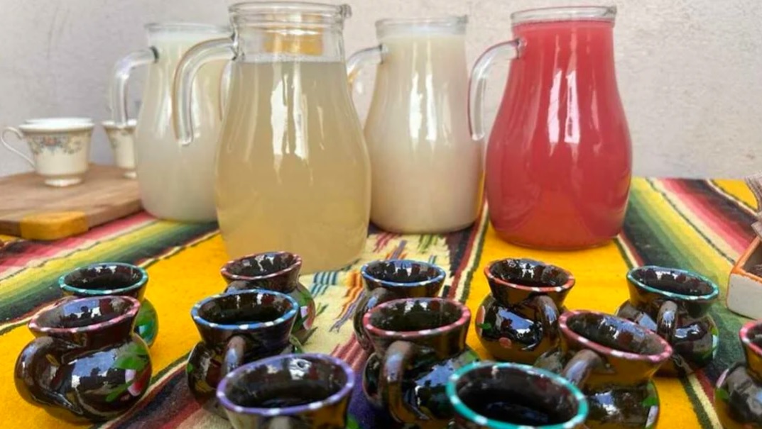 Museo del Pulque celebra 7 años con agenda cultural gratuita Museo del Pulque celebra 7 años con agenda cultural gratuita