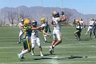 Cierran Tigres intermedia invictos pretemporada Cierran Tigres intermedia invictos pretemporada