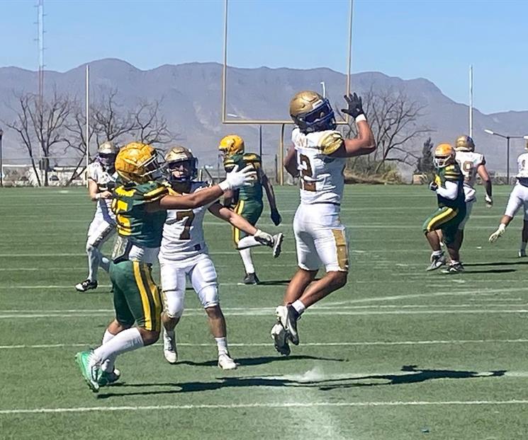 Cierran Tigres intermedia invictos pretemporada Cierran Tigres intermedia invictos pretemporada