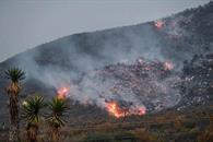 Urgen a instalar comités para prevenir incendios Urgen a instalar comités para prevenir incendios