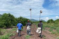 Ingreso laboral de mexicanos en EU se desploma en 2025