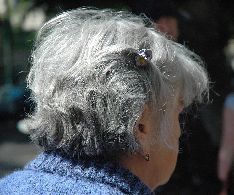 ¿Por qué las canas crecen más gruesas y rebeldes? ¿Por qué las canas crecen más gruesas y rebeldes?