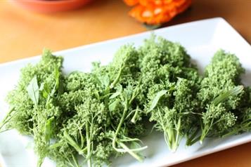 &iquest;Cu&aacute;les son las propiedades nutritivas y curativas del huauzontle?