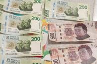 Aumenta falsificaci&oacute;n de billetes durante 2025