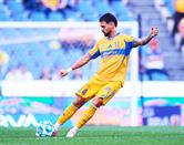 Busca Tigres salto en la tabla
