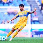 Busca Tigres salto en la tabla