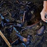 Sheinbaum reconoce rezago en identificaci&oacute;n de restos