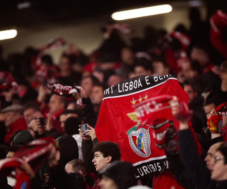 Investigar&aacute; Benfica a sus aficionados